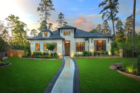 Photo of 355 Silver Sage Street, Conroe, TX 77304 (MLS # 53493780)