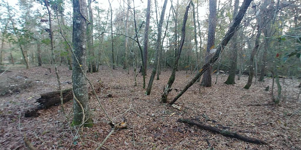 Photo of Tbd Mockingbird Hill Hill, Conroe, TX 77303 (MLS # 10600016)