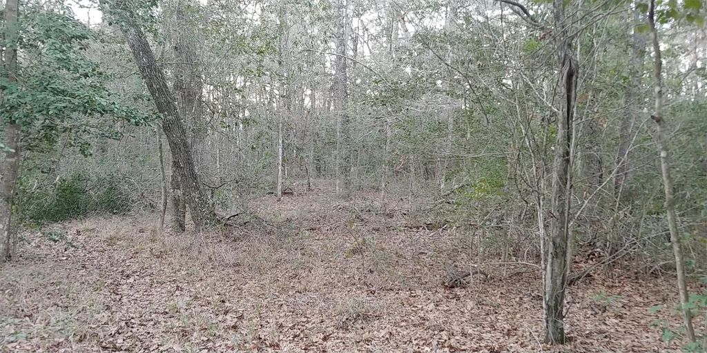 Photo of Tbd Mockingbird Hill Hill, Conroe, TX 77303 (MLS # 10600016)