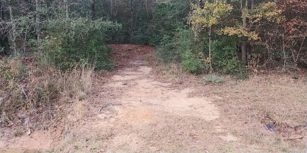 Photo of Tbd Mockingbird Hill Hill, Conroe, TX 77303 (MLS # 10600016)