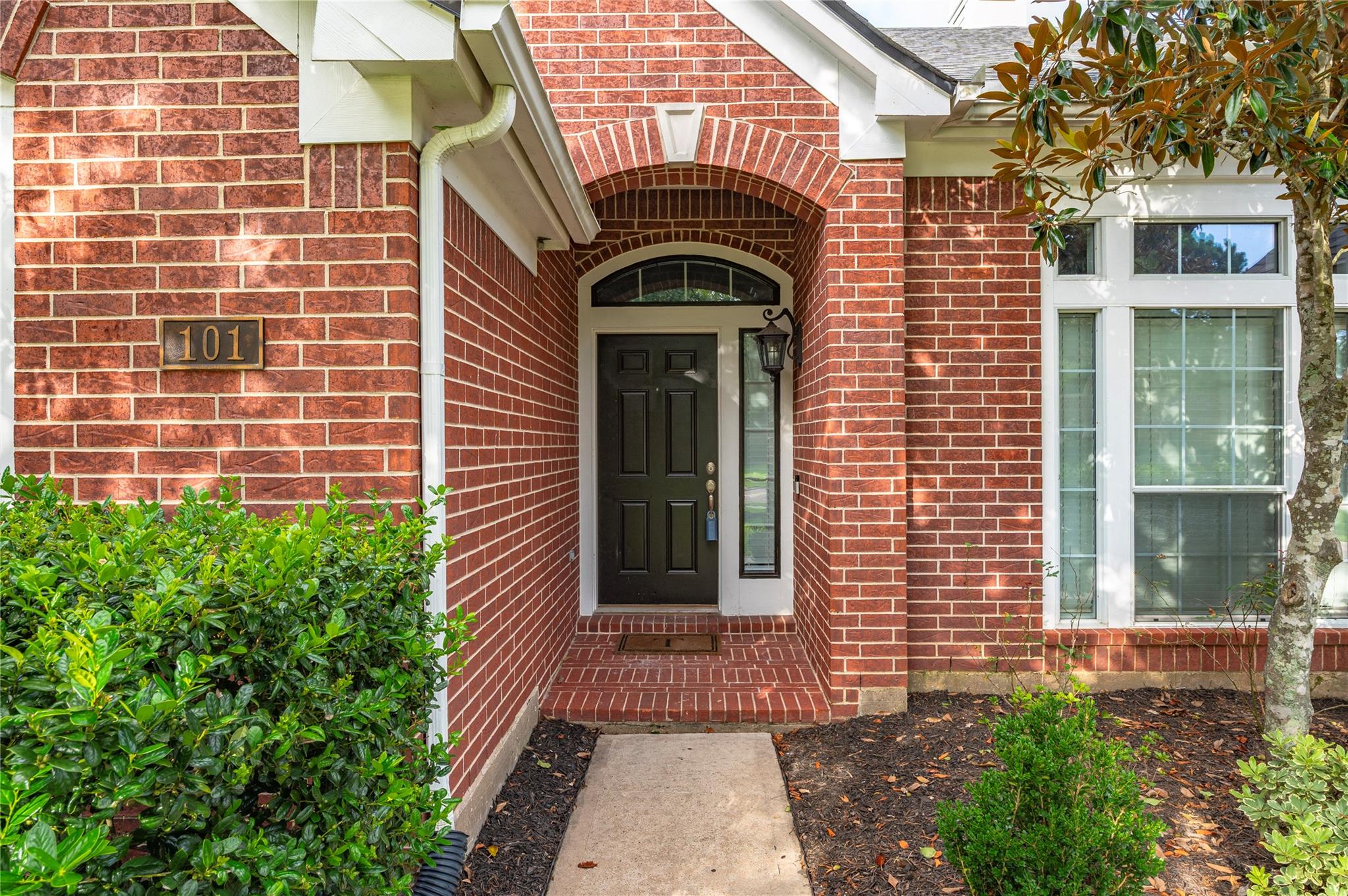 101 Arbor Springs Lane