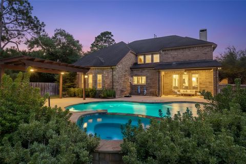 18 Wyndehaven Lakes Drive Katy TX 77494