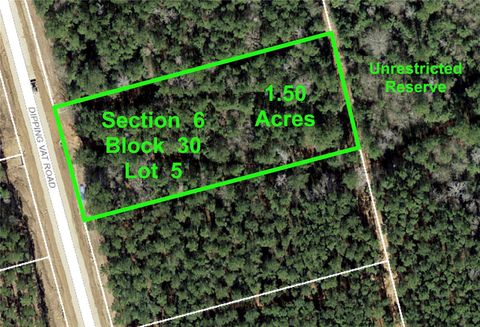 Photo of 6 Dipping Vat Road, Huntsville, TX 77340 (MLS # 46377863)