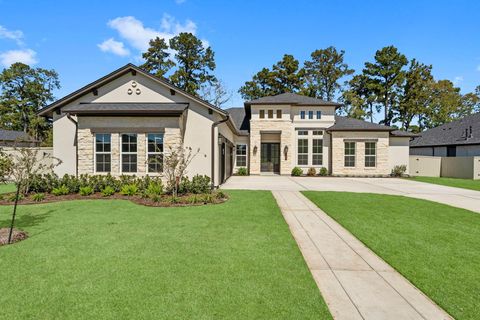 Photo of 144 Shoveler Duck Way, Magnolia, TX 77354 (MLS # 71814427)