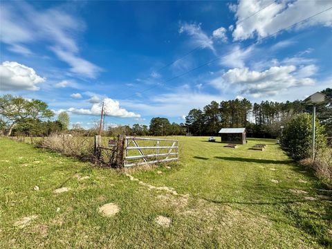 Tiny photo for 908 N Pitzer Street, Colmesneil, TX 75938 (MLS # 80303245)