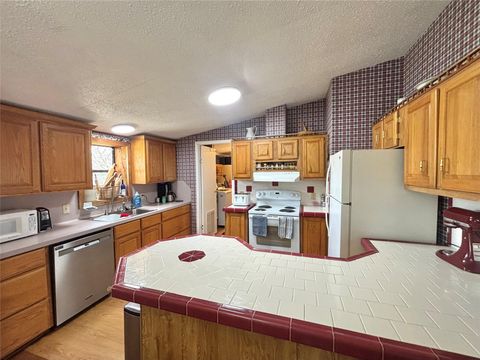 Tiny photo for 908 N Pitzer Street, Colmesneil, TX 75938 (MLS # 80303245)