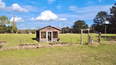 Tiny photo for 908 N Pitzer Street, Colmesneil, TX 75938 (MLS # 80303245)