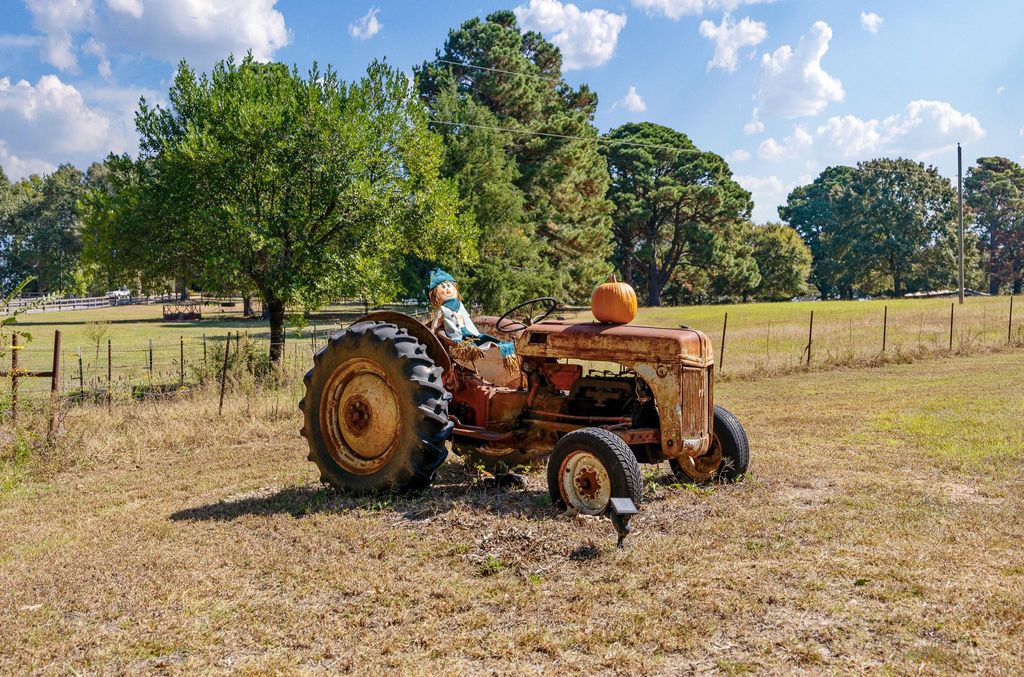 Photo of 10950 Castleberry Street, Brownsboro, TX 75756 (MLS # 4108406)