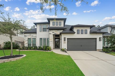 Photo of 221 Patina Sorrel Drive, Montgomery, TX 77316 (MLS # 81546664)