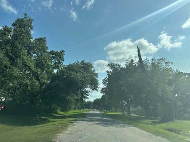 Photo of 103 Birch Street, Wallis, TX 77485 (MLS # 22370880)
