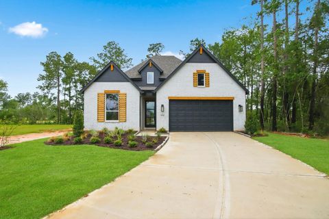 Homes For Sale - 11502 Hooting Owl Drive<br/> Montgomery, TX 77316