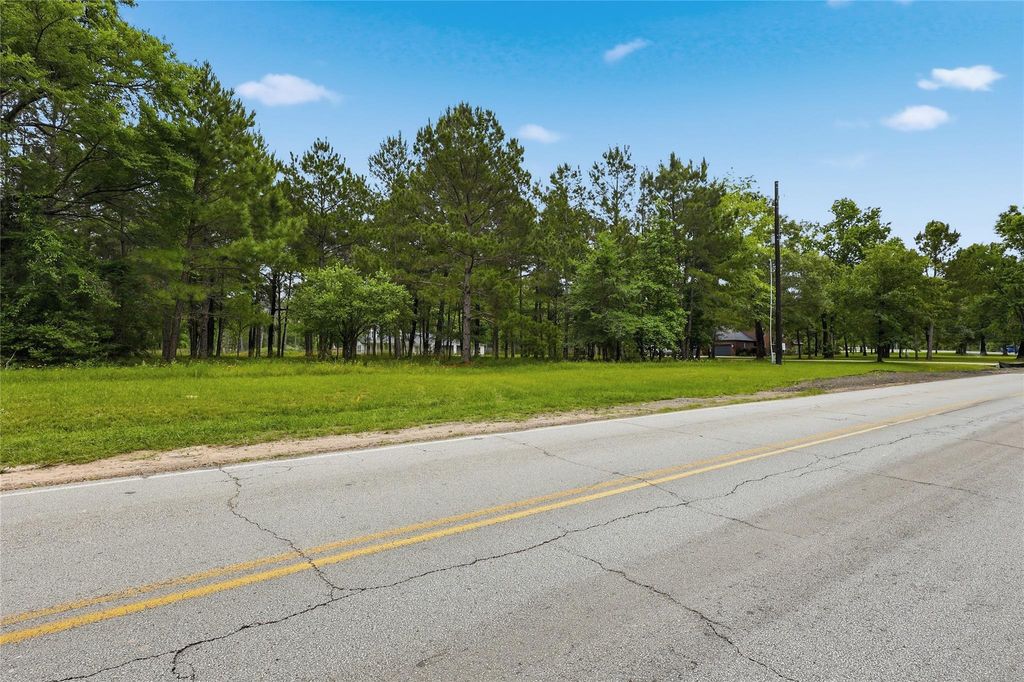 Photo of 2302 Honea Egypt Road, Magnolia, TX 77354 (MLS # 79350215)