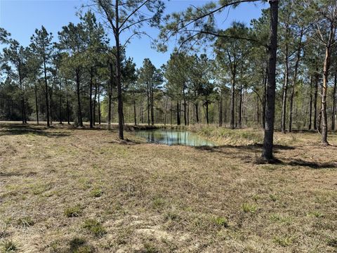 Vacant Land For Sale - 521 Rolling Pines Dr<br/> Polk County, Livingston, TX 77351