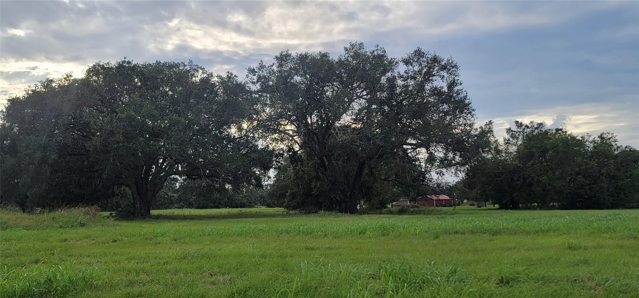 1338 Mill Road