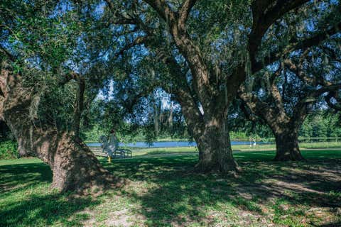 Photo of 10671 Hidalgo Falls Rd RD, Washington, TX 77880 (MLS # 18245503)