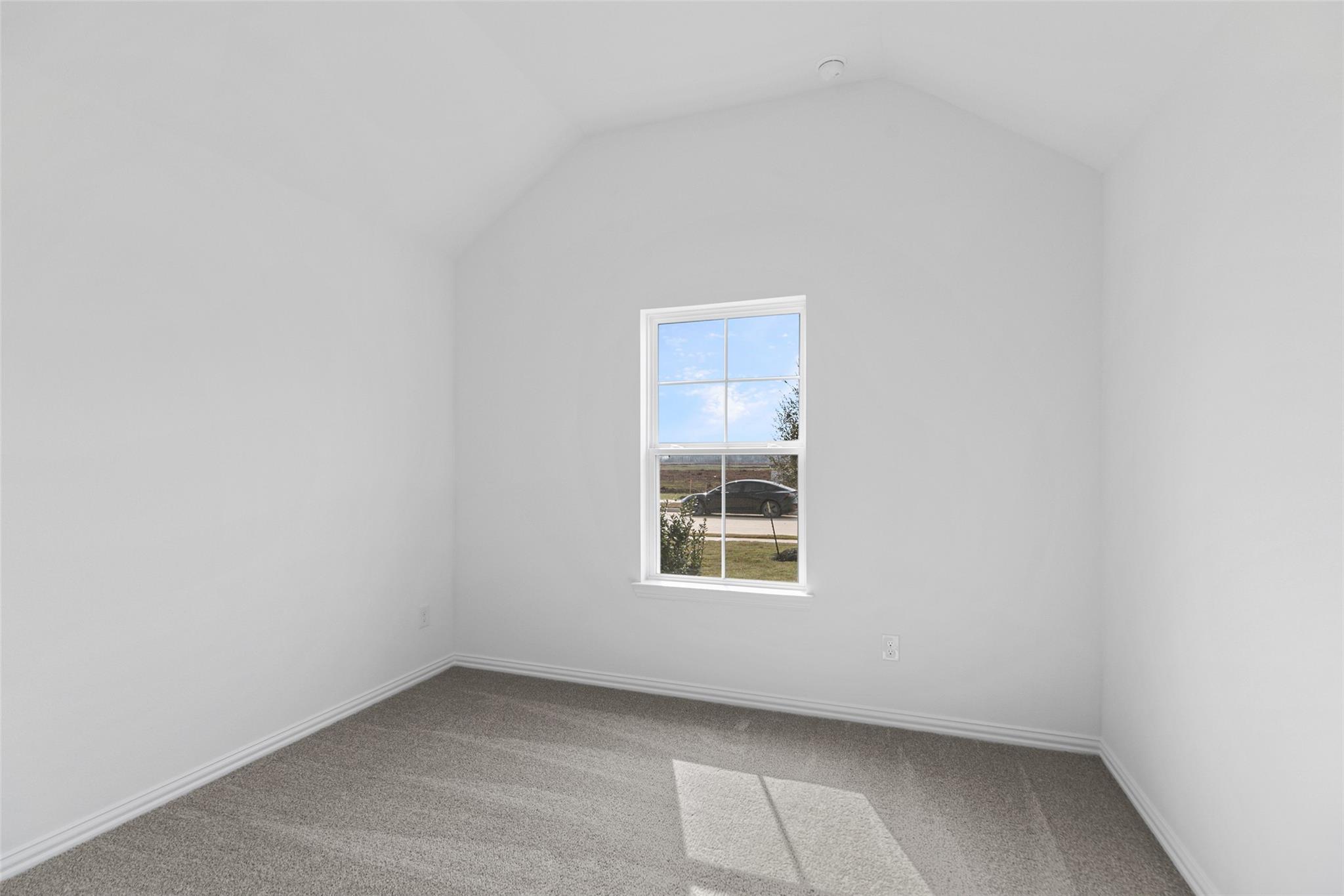 719 Evergreen Forest Lane