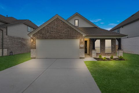 Photo of 8742 Mallow Rose Way, Rosharon, TX 77583 (MLS # 71865785)
