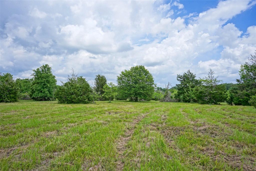 Photo of 2905 Lee Ln Ln, Bedias, TX 77831 (MLS # 80128499)