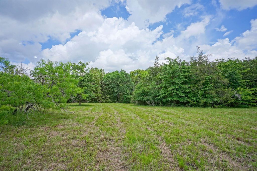 Photo of 2905 Lee Ln Ln, Bedias, TX 77831 (MLS # 80128499)