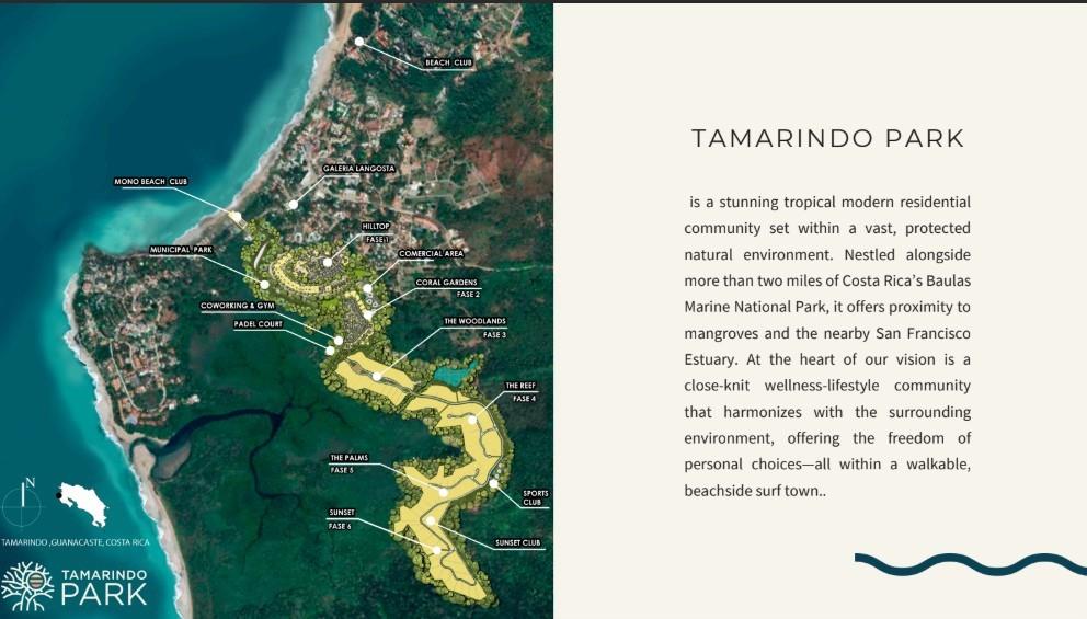 House 41, Tamarindo Park