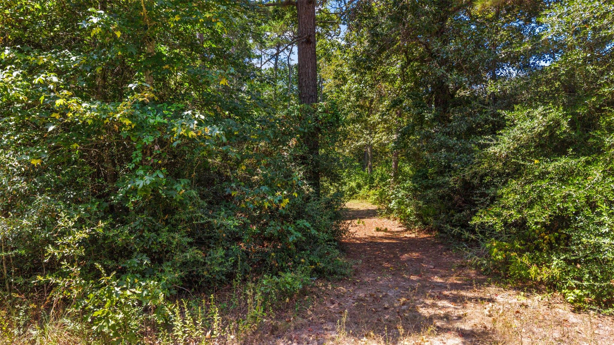 19296 Riverwalk Drive