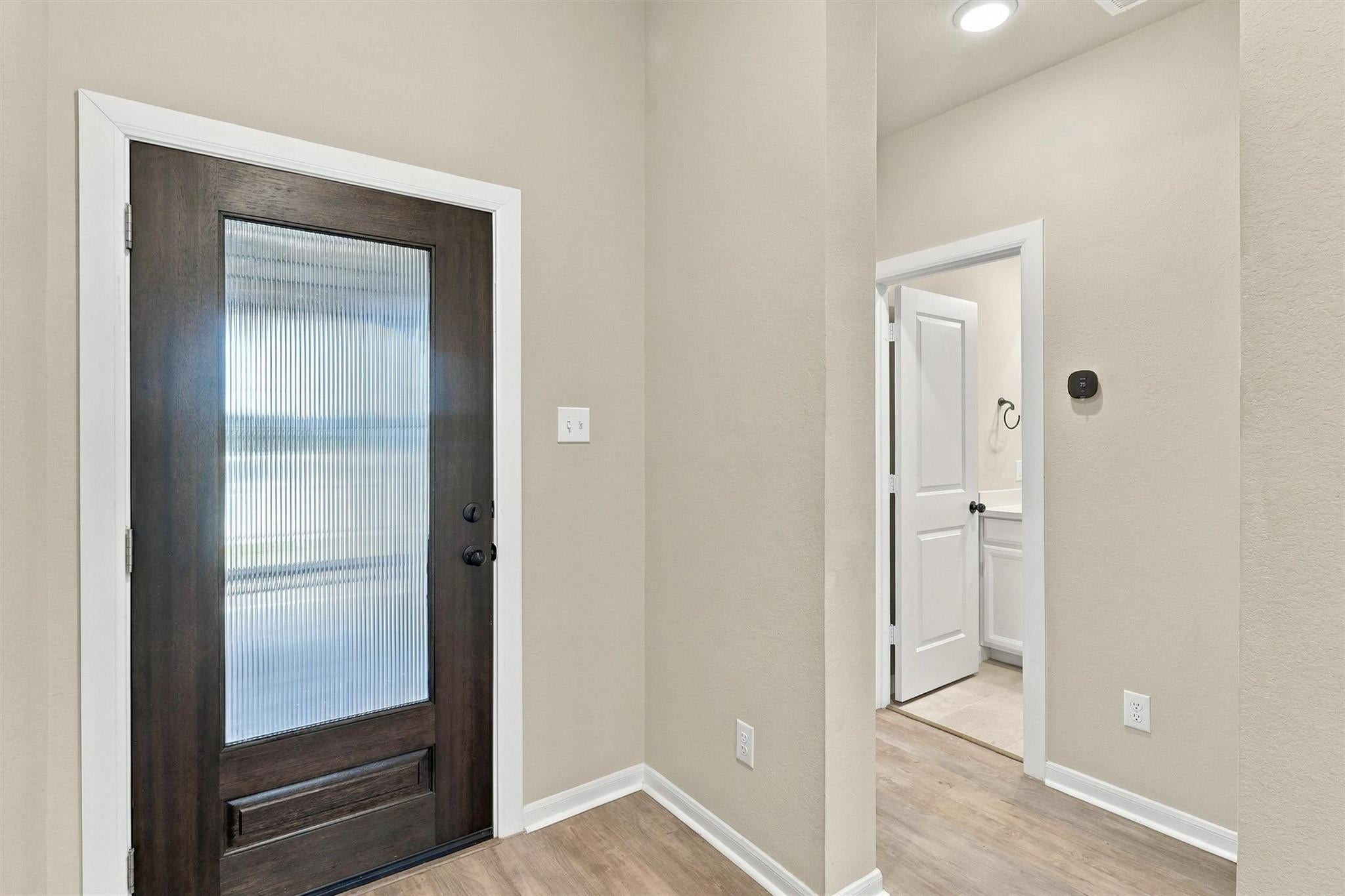 29919 Vallonea Oak