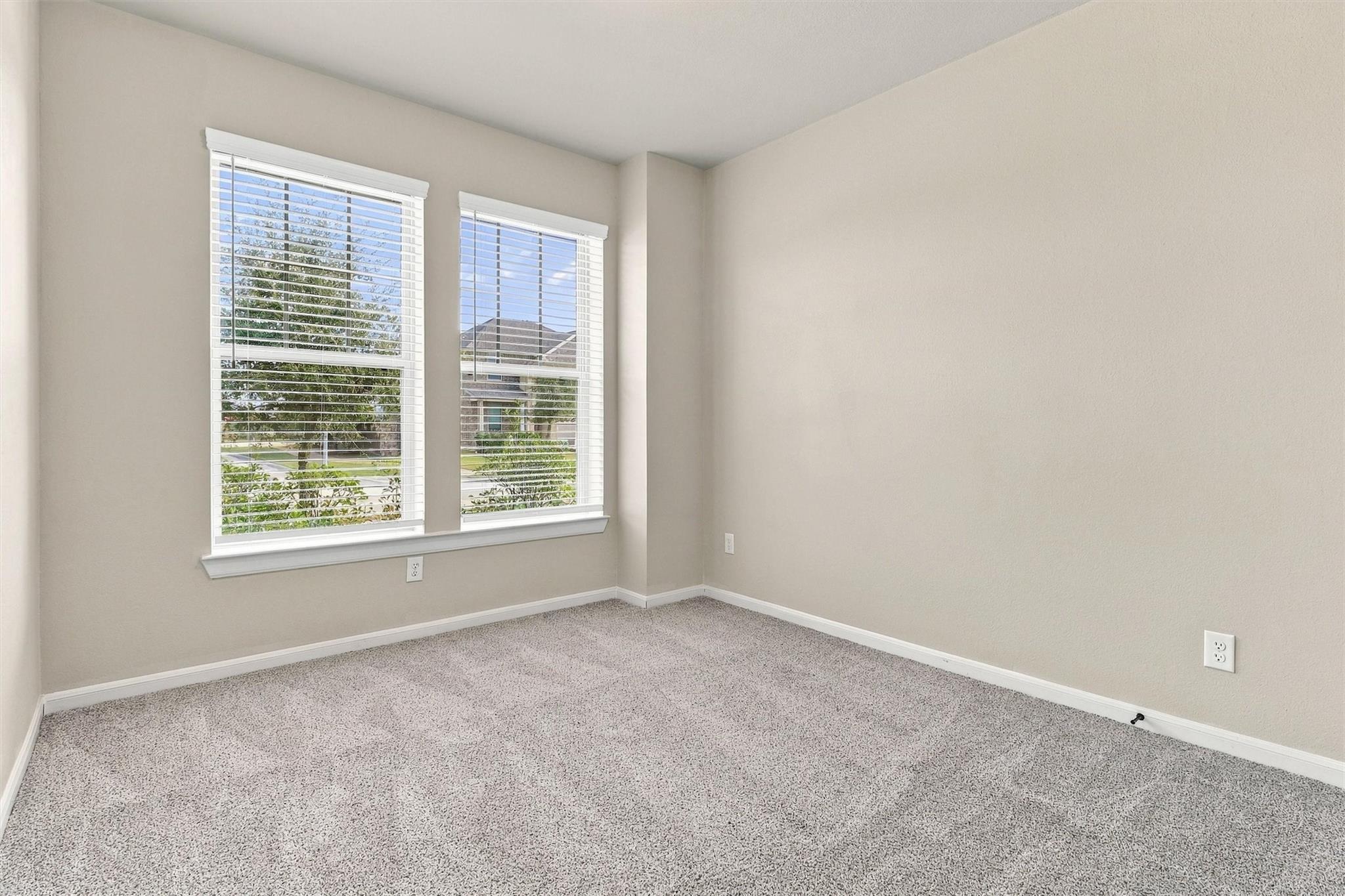 29919 Vallonea Oak