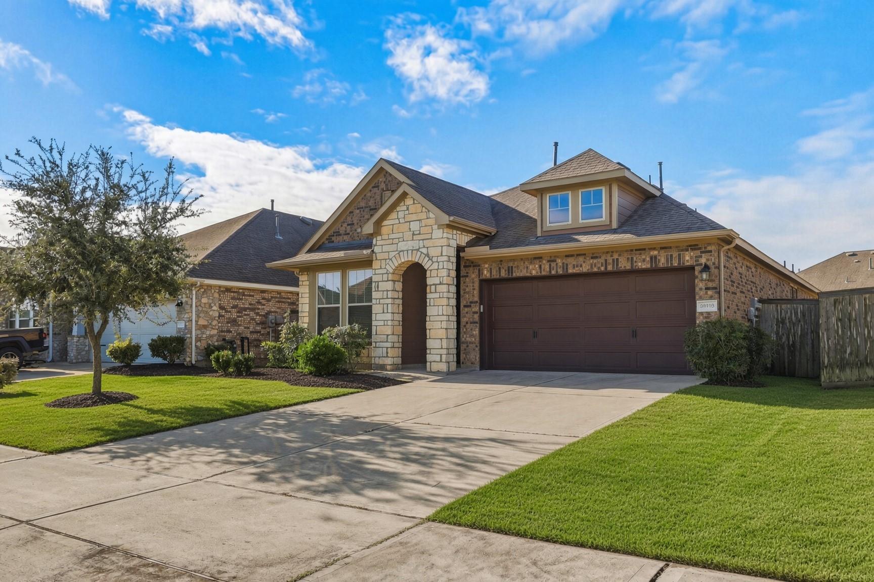 29919 Vallonea Oak