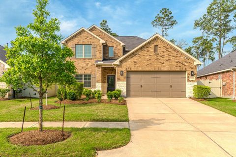 17116 Coneflower Place Conroe TX 77385