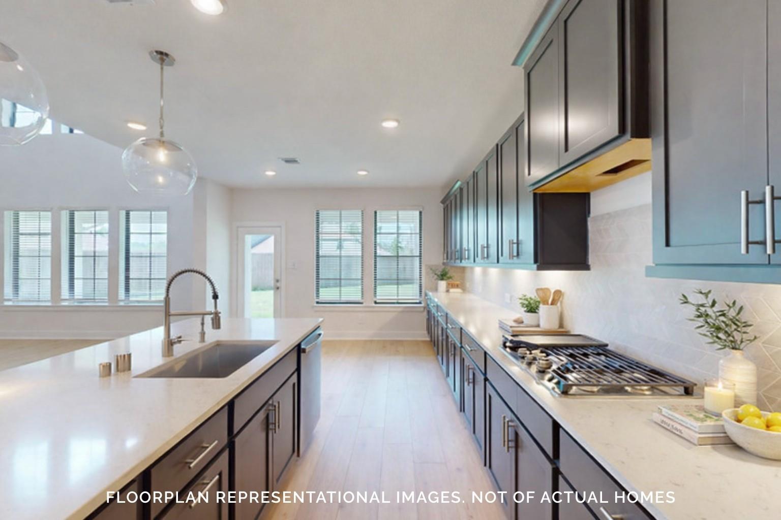 21611 Hibscus Hedge Trail