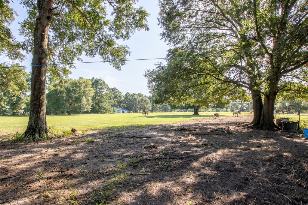 Photo of 3820 N Fm 1486 Road, Montgomery, TX 77356 (MLS # 74001707)