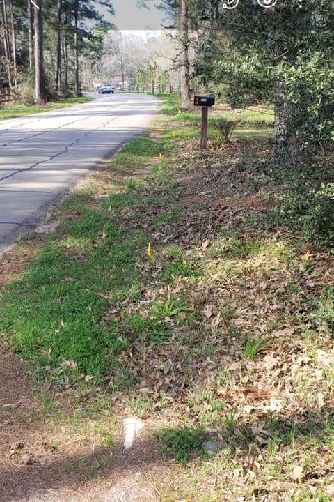 Vacant Land For Sale - 19265 Alford Road<br/> Magnolia, TX 77355