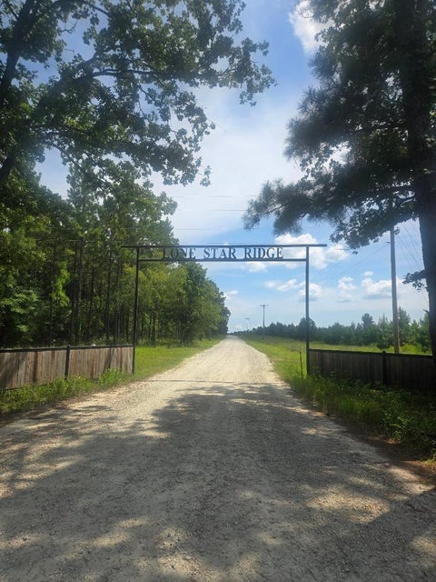 Photo of 2 Calhoun Ct, Lovelady, TX 75851 (MLS # 78496603)
