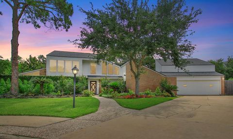 Homes For Sale - 13802 Menasco Court<br/> Houston, TX 77077