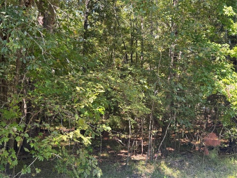 Vacant Land For Sale - 00 Caney Creek<br/> Walker County, Huntsville, TX 77320