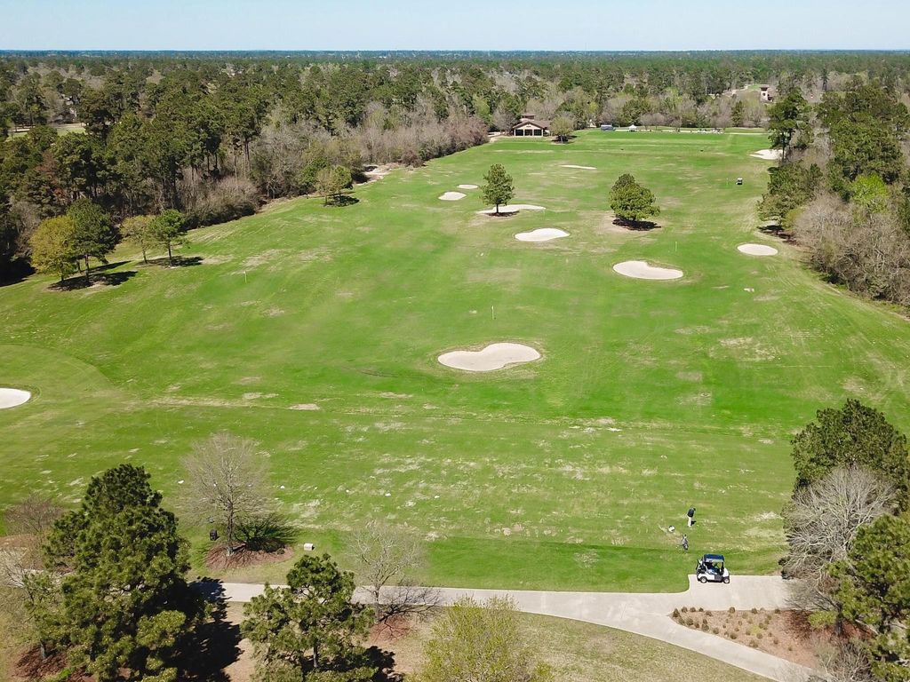 Photo of 30 Lamerie Way Way, The Woodlands, TX 77382 (MLS # 20212438)
