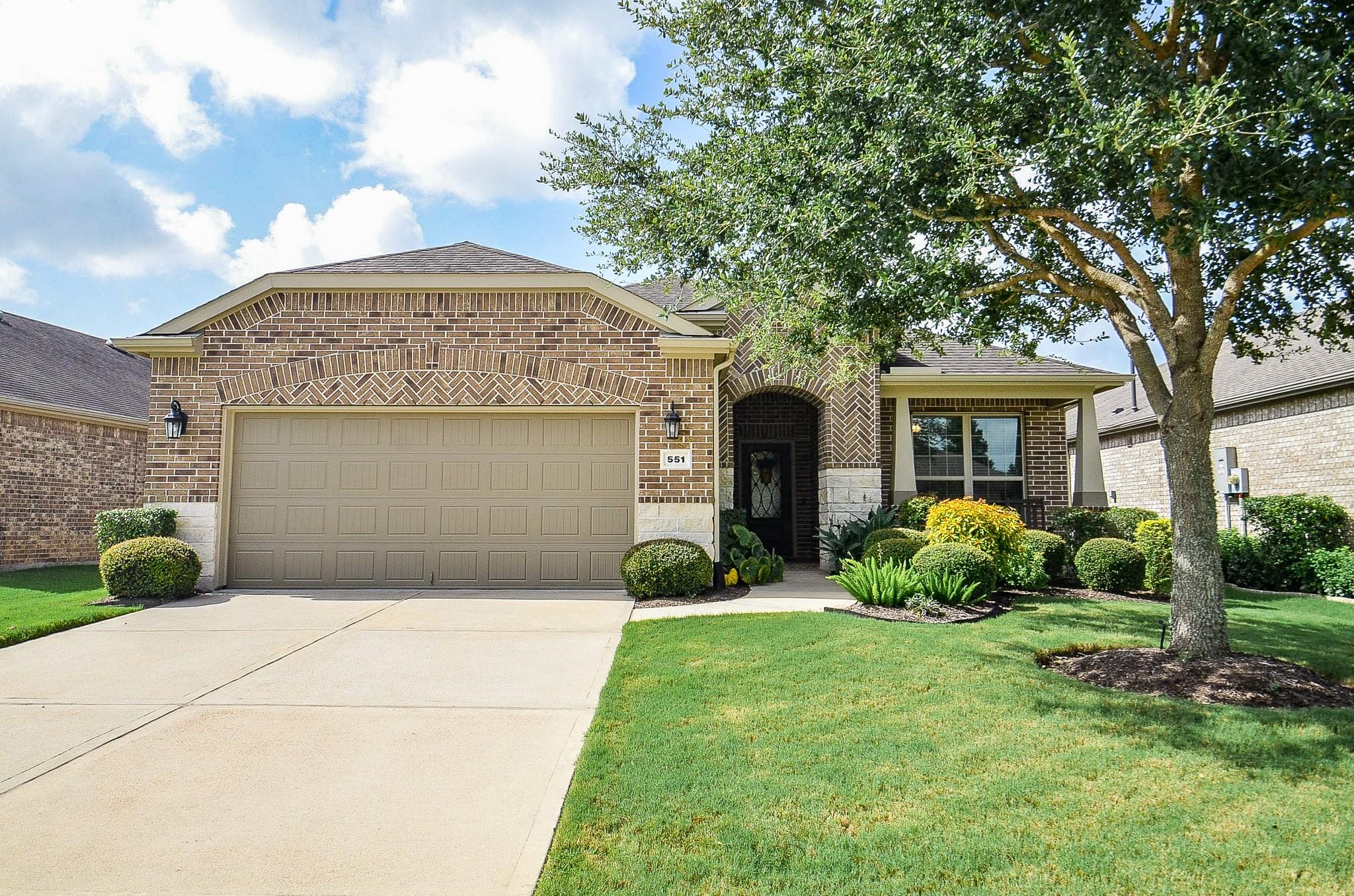 551 Emory Peak Drive
