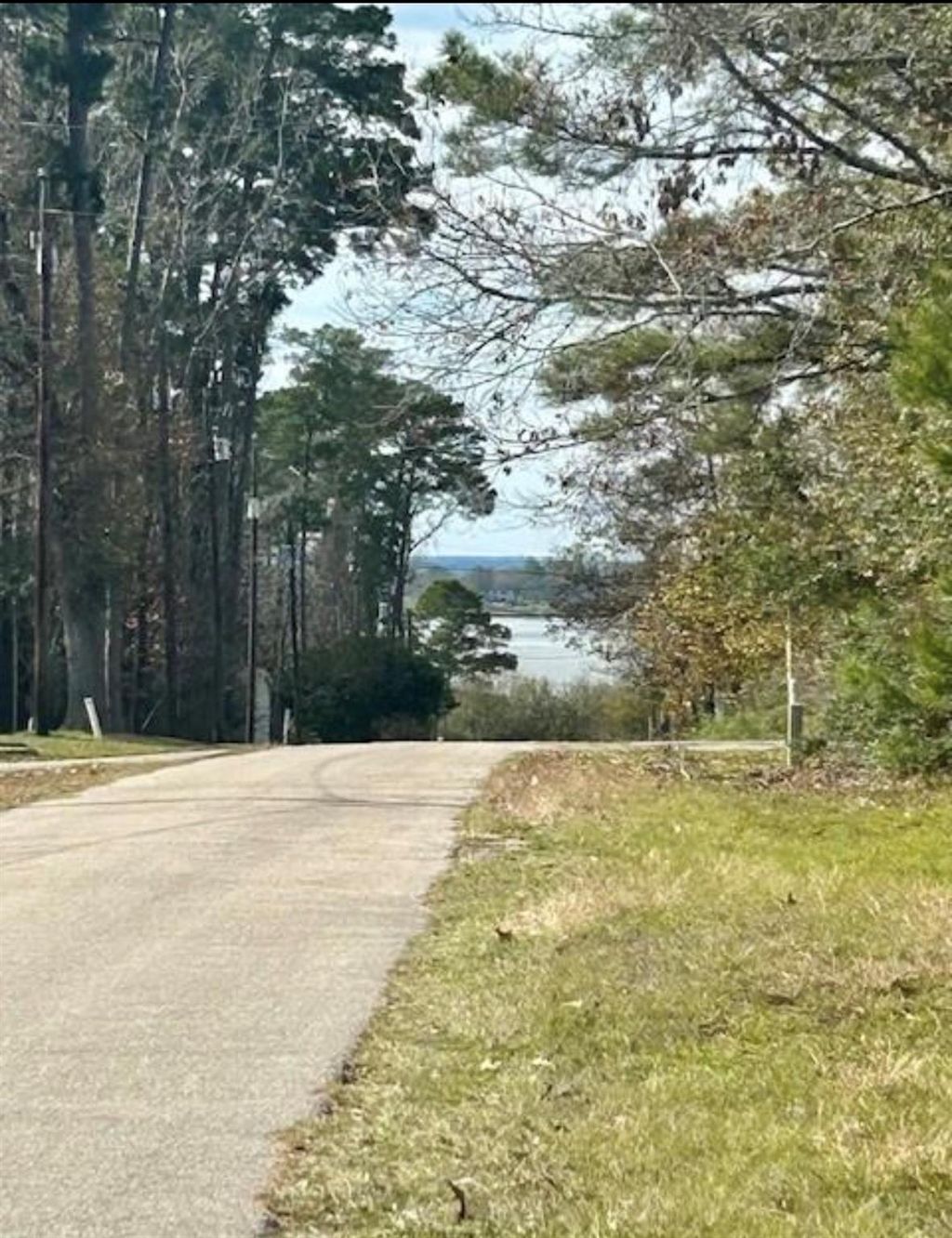 Photo of 0 Honeysuckle, Livingston, TX 77351 (MLS # 79980398)