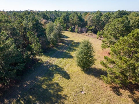 Vacant Land For Sale - 80 Rosenwall Road<br/> Walker County, Huntsville, TX 77320