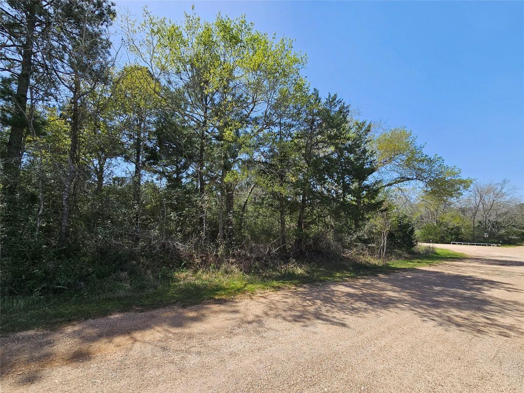 Photo of 0 Park View Dr, Hempstead, TX 77445 (MLS # 11306327)