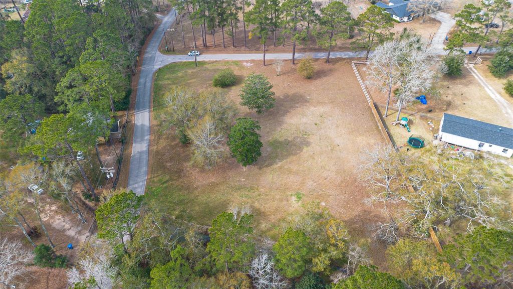 Photo of 15471 Dewberry Lane, Conroe, TX 77302 (MLS # 81200832)