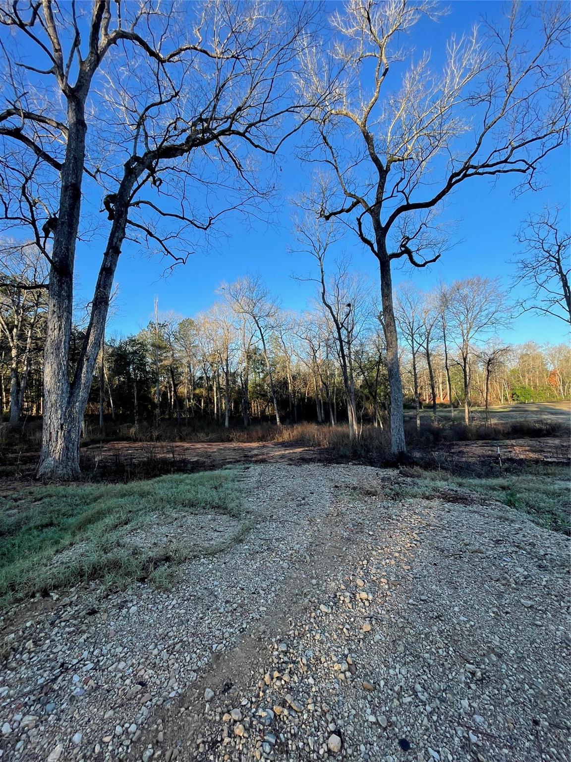 11357 Annie Creek Drive