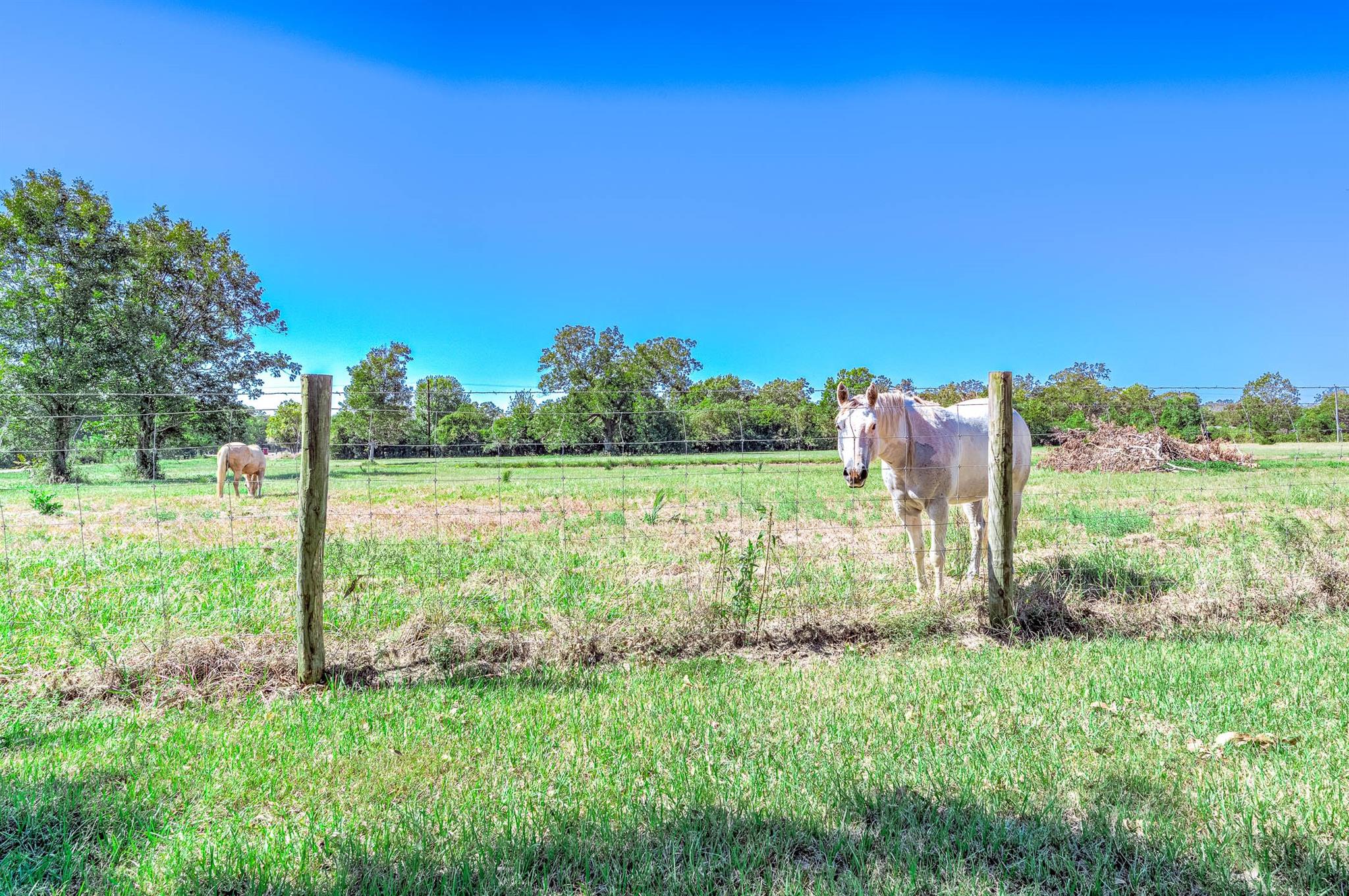 3295 Fm 524 Road