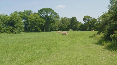Vacant Land For Sale - 00 Fm 390<br/> Washington County, Brenham, TX 77833