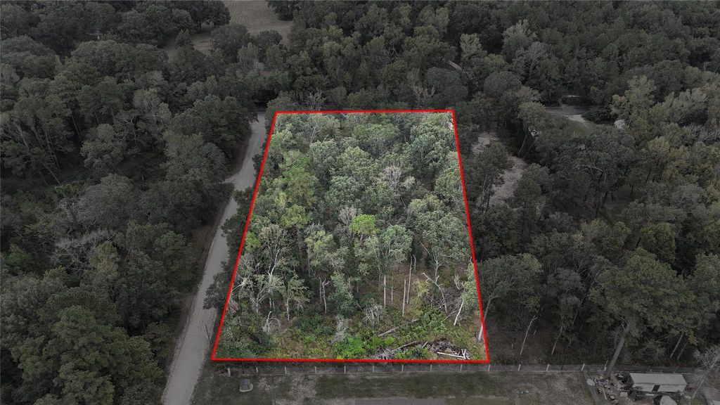 Photo of 22133 Brook Forest Rd Rd, New Caney, TX 77357 (MLS # 10385162)