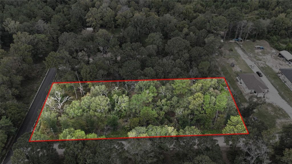 Photo of 22133 Brook Forest Rd Rd, New Caney, TX 77357 (MLS # 10385162)