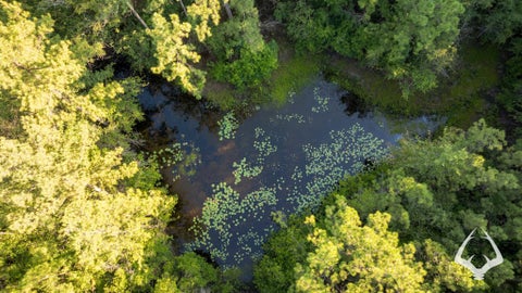 Photo of 0 Fm 363, Newton, TX 75966 (MLS # 94082113)