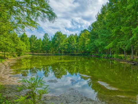 Photo of 1630 County Road 219, Brookeland, TX 75931 (MLS # 62224727)
