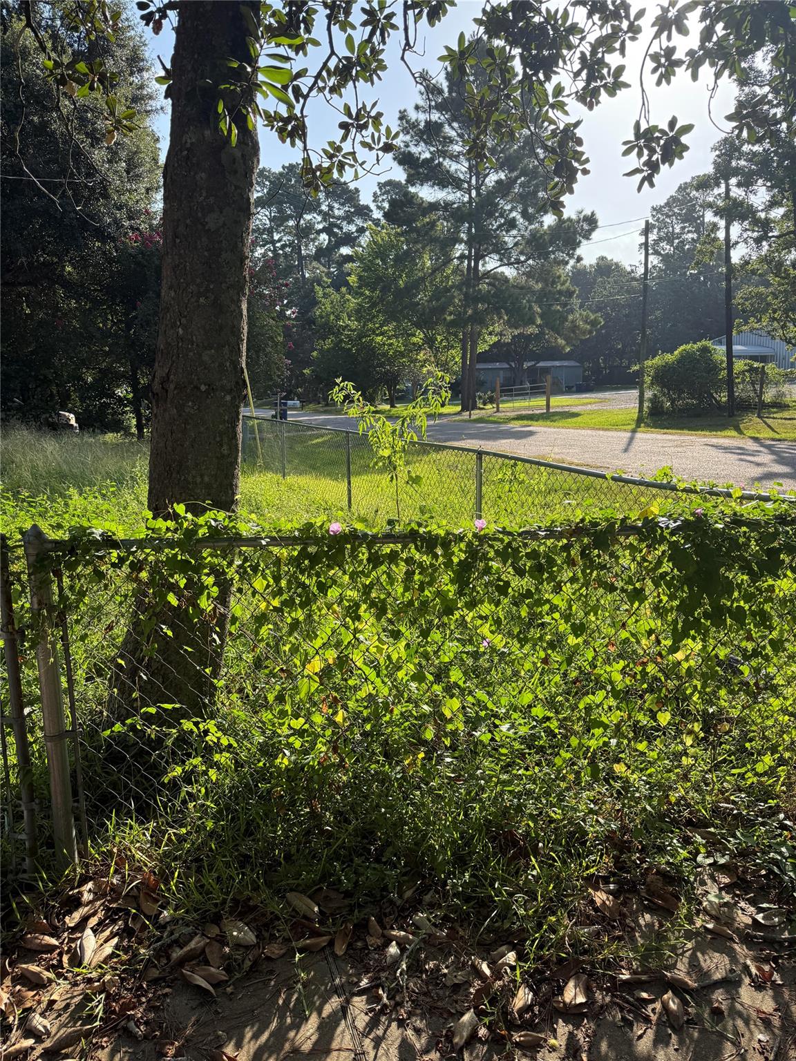 30927 Sweetbriar Lane