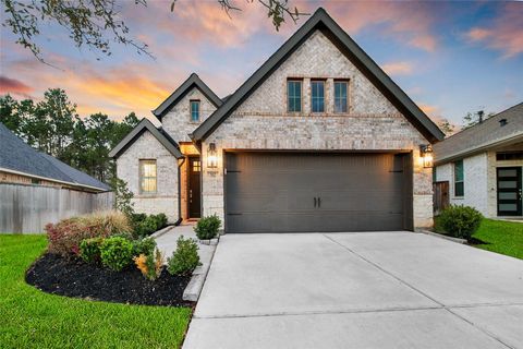 Photo of 352 Rise Lane, Montgomery, TX 77316 (MLS # 68778306)
